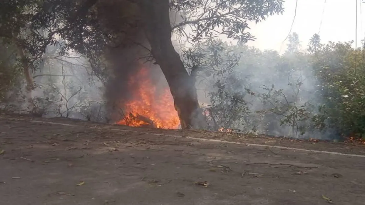 मुजफ्फरनगर: पेड़ से टकराने के बाद CNG कार में लगी आग, होली खेलने निकले 2 दोस्त जिंदा जले